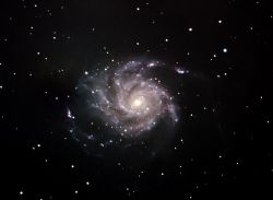 M101 - Dudley Johnson