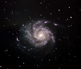 M101 - Dudley Johnson