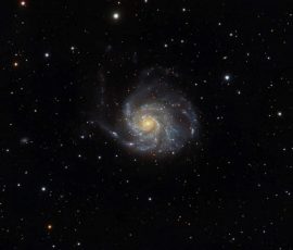 M101 Steve Dean