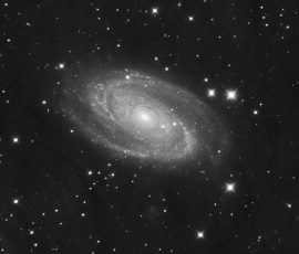 M81 Bodes Galaxy - Steve Dean