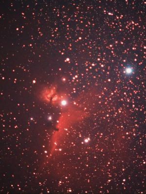 Horse Head Nebula IC 434 & Flame Nebula NGC2024 - Luke Burton